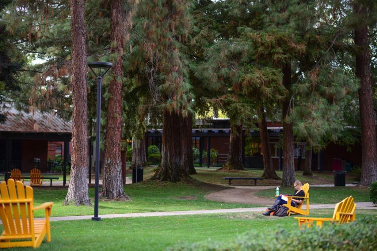 A student reading on the Sacramento Campus.