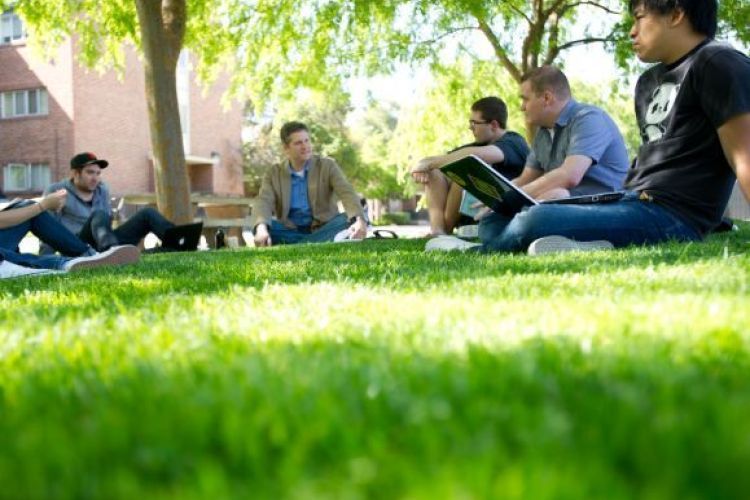 students on a lawn