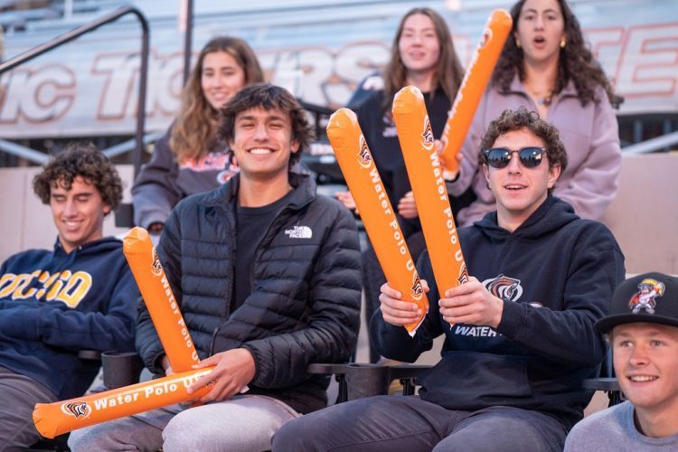 fans sit in the stands at a water polo game