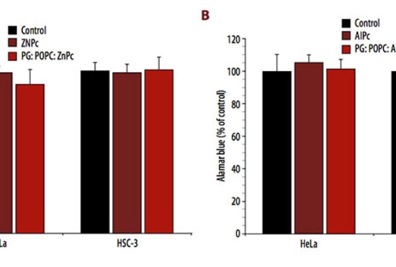 Dark toxicity of 1 µM free and liposomal ZnPc (A) and AlPc (B) on the viability of HeLa and HSC-3 cells. The metabolic activity was measured by the Alamar Blue assay and expressed as a percentage of the control (control cells). Each value is a mean ± standard deviation (SD) of 2 or 3 independent experiments performed in triplicate.