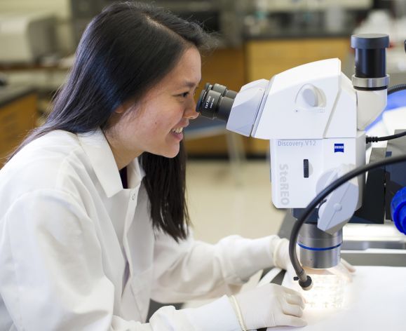 Scientist with microscope